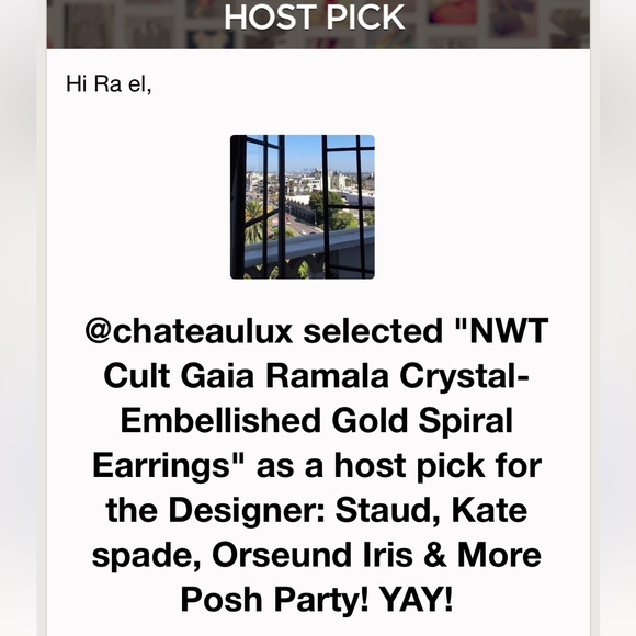 πΊπHPππΊ NWT Cult Gaia Ramala Crystal-Embellished Gold Spiral Earrings - Picture 17 of 17